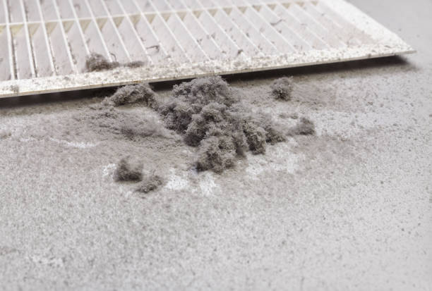 Best Ductwork Cleaning Services  in South Farmingdale, NY