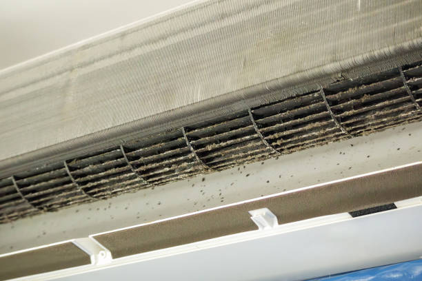 Best Ductwork Cleaning Services  in South Farmingdale, NY